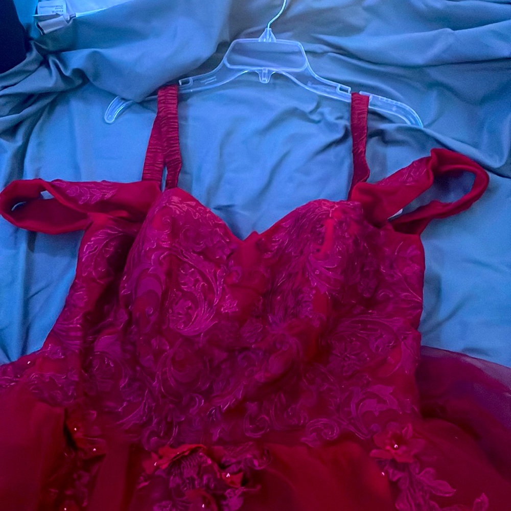GIANT Red Prom Dress(Quince Style) With Corset & Flower Detailing